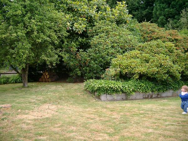 House 4.03 00022.JPG